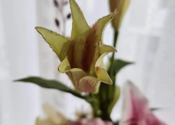 Hotel Schiff Rastatt